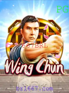 WingChun: Descubra um Mundo de Estratégia e Diversão